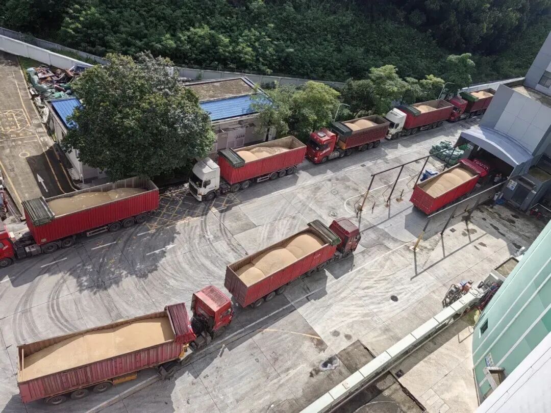 专业化青年人才梯队
