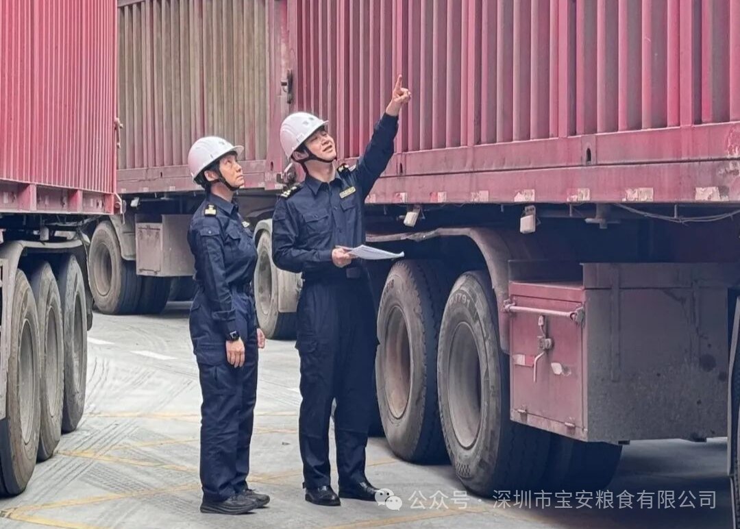 KY体育(中国)官方网站